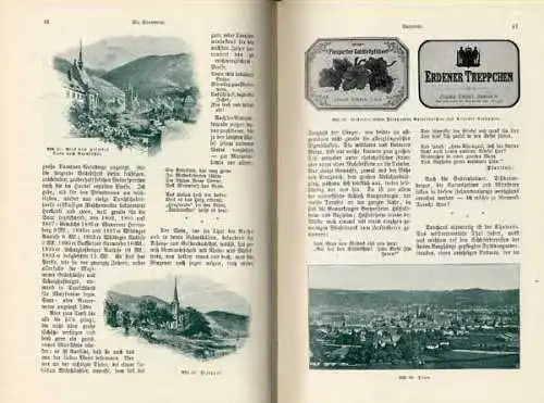 Wein Anbau Ernte Reben Geschichte Kunst Kultur Jugendstil Buch von 1901