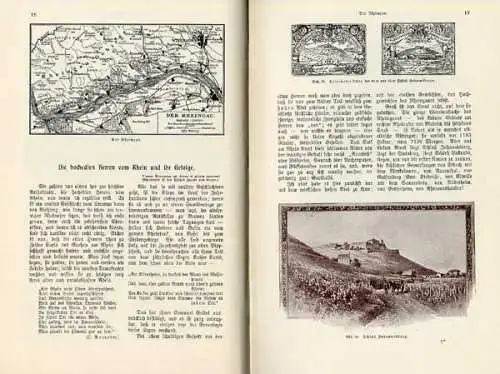 Wein Anbau Ernte Reben Geschichte Kunst Kultur Jugendstil Buch von 1901