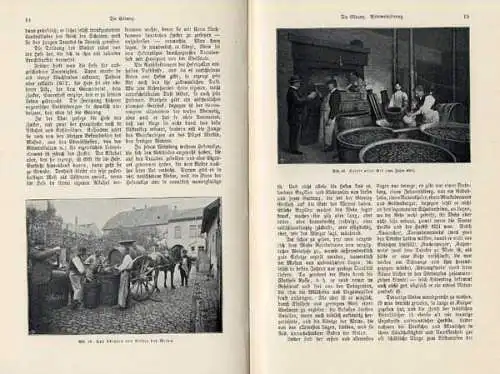 Wein Anbau Ernte Reben Geschichte Kunst Kultur Jugendstil Buch von 1901