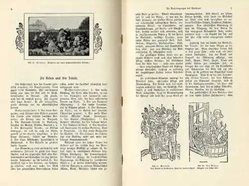 Wein Anbau Ernte Reben Geschichte Kunst Kultur Jugendstil Buch von 1901