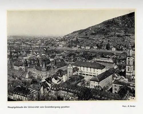 Baden Heidelberg Stadt Geschichte Ruperto Carola Universität Festschrift 1931