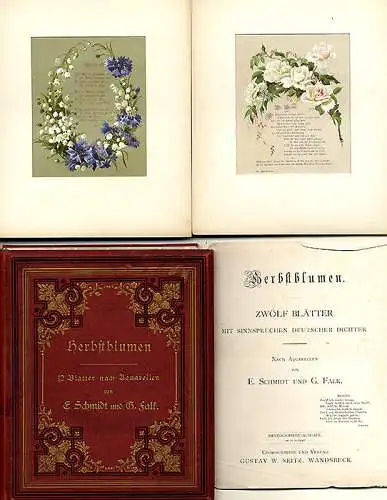 Herbst Blumen Original Kunst Grafik Blätter handkoloriert Schmidt Falk 1880