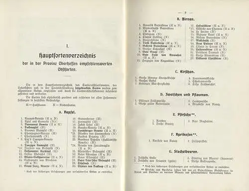 Großherzogtum Hessen Provinz Oberhessen Obst Sorten Pomologie Buch 1911