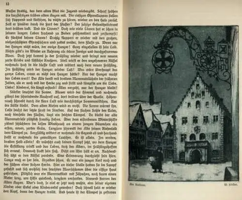 Franken Bad Mergentheim Stadt Geschichte Kunst Grafik Heimatbuch 1925