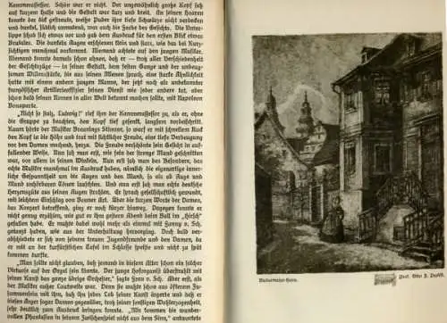 Franken Bad Mergentheim Stadt Geschichte Kunst Grafik Heimatbuch 1925