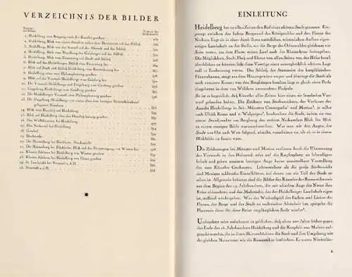 Heidelberg Neckar Kurpfalz Ansichten Kunst Grafik Romantik Bilder Buch 1926