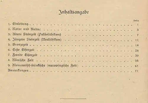 Stuttgart Bad Cannstatt Stadt Geschichte Archäologie Römer Kastell Buch 1920