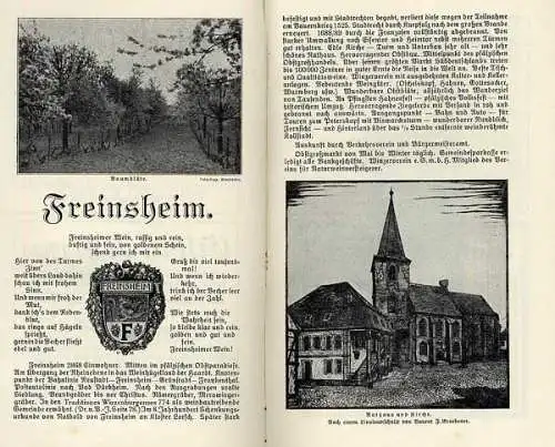 Rheinland Saar Pfalz Weinstraße Westrich Reise Verkehr Handbuch 1929