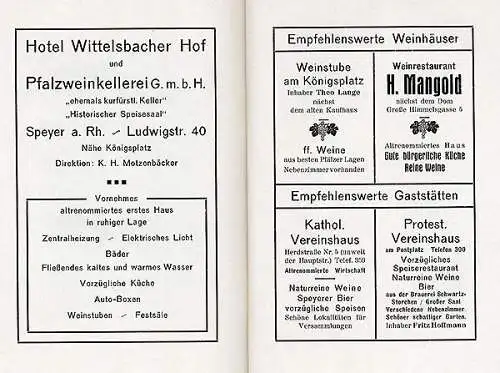 Rheinland Pfalz Speyer Stadt Geschichte Werbung Reklame Reiseführer 1929