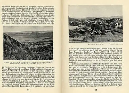 Pfalz Mannheim Heidelberg Geschichte Kultur Volkskunde Kurpfälzer Jahrbuch 1929