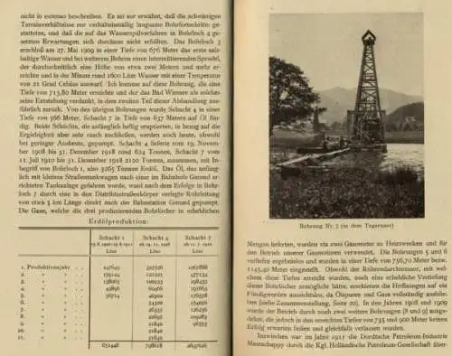 Bayern Alpen Tegernsee Bad Wiessee Erdöl Geschichte Heimatbuch 1927