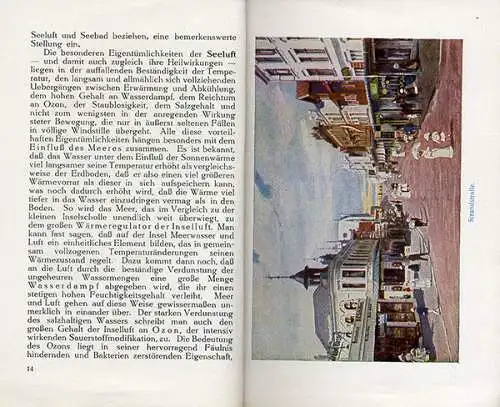 Nordsee Insel Borkum Geschichte Strand Badeleben alter Reiseführer 1913