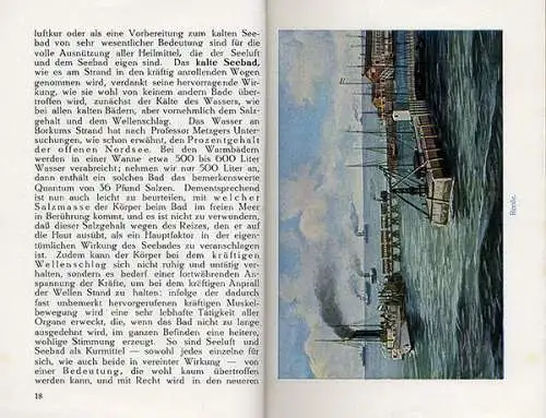 Nordsee Insel Borkum Geschichte Strand Badeleben alter Reiseführer 1913