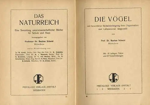 Deutschland Zoologie Biologie Ornithologie Vögel Arten Tafelband 1923