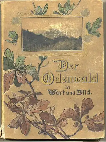 Odenwald Natur Geschichte Heimat Volkskunde Jugendstil Prachtband 1896