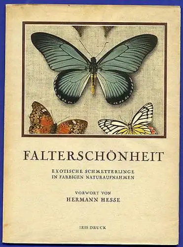 Zoologie Afrika Asien Tropische Schmetterlinge Foto Bildband Hermann Hesse 1951