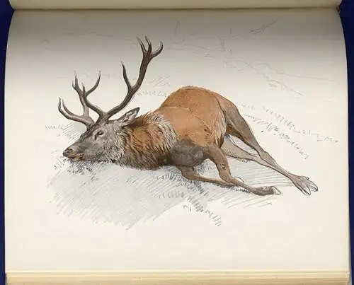 Kunst Malerei Wald Tiere Jagd Skizzen Buch August Fritz Darmstadt 1921