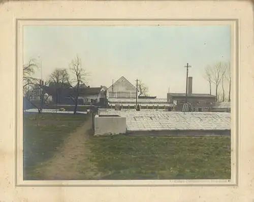 Sachsen Görlitz Stadt Gärtnerei Farbfoto gerahmt hinter Glas 1930