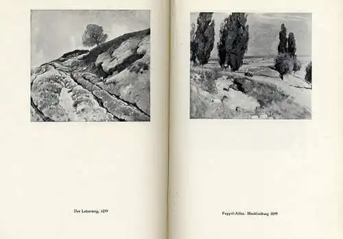Dresden Malerei Jugendstil Eugen Bracht 70. Geburtstag Katalog Festschrift 1912