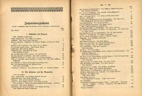 Schlesien Städte Landschaft Geschichte Heimat Volkskunde Buch 1923