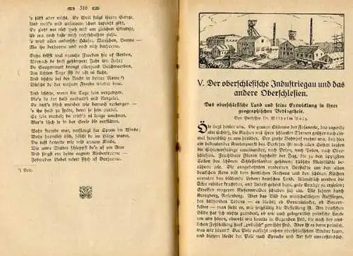 Schlesien Städte Landschaft Geschichte Heimat Volkskunde Buch 1923