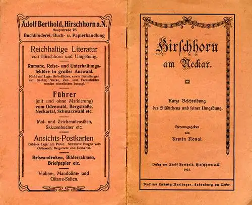 Hessen Odenwald Neckar Hirschhorn Stadt Geschichte Reiseführer Heimatbuch 1922