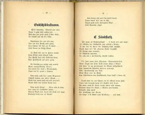 Hessen Wetterau Peter Geibel Verse Gedichte Sprache Mundart Buch 1903