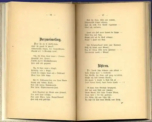 Hessen Wetterau Peter Geibel Verse Gedichte Sprache Mundart Buch 1903