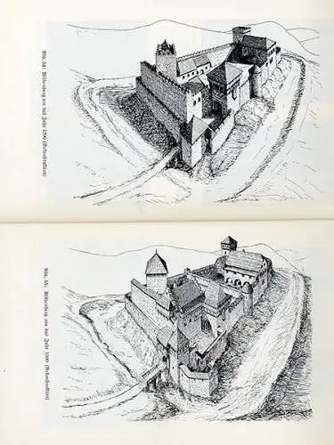 Bayern Odenwald Kirchzell Mittelalter Geschichte Gralsburg Wildenberg Buch 1936