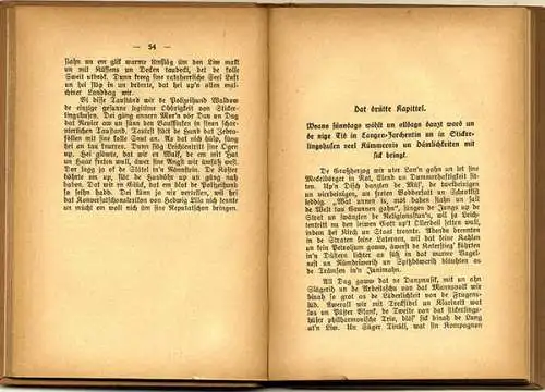 Weltkrieg Revolution in Mecklenburg Plattdeutsch Heimat Mundart Roman 1920