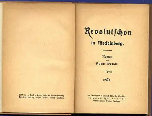 Weltkrieg Revolution in Mecklenburg Plattdeutsch Heimat Mundart Roman 1920