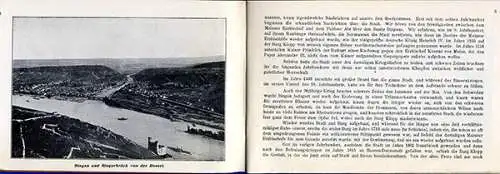 Rhein Bingen Bingerbrück Niederwald alter Reiseführer 1907