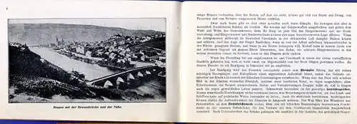 Rhein Bingen Bingerbrück Niederwald alter Reiseführer 1907