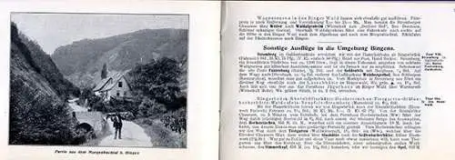 Rhein Bingen Bingerbrück Niederwald alter Reiseführer 1907