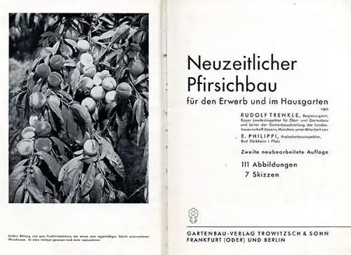 Garten Obst Pfirsisch Sorten Anbau Zucht Baumschnitt Ernte Schädlinge Buch 1937