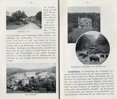 Bayern Main Spessart Aschaffenburg Lohr Heigenbrücken Spessart Wanderbuch 1911