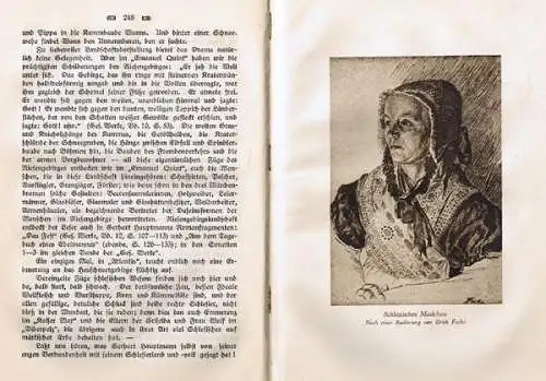 Schlesien Städte Landschaft Geschichte Kunst Handwerk Volkskunde Buch 1926