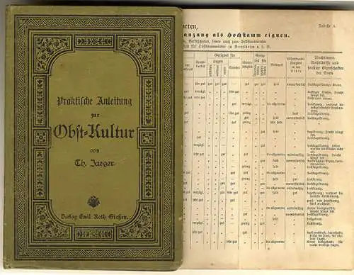 Garten Bau Obst Kultur Sorten Baumschnitt Ernte Krankheiten Buch 1891