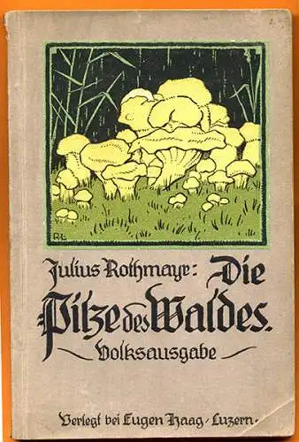 Botanik Wald Pilze Sammeln Bestimmen Essbare und Giftpilze Rezepte Fachbuch 1920