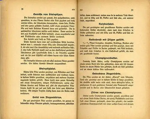 Botanik Wald Pilze Sammeln Bestimmen Essbare und Giftpilze Rezepte Fachbuch 1920