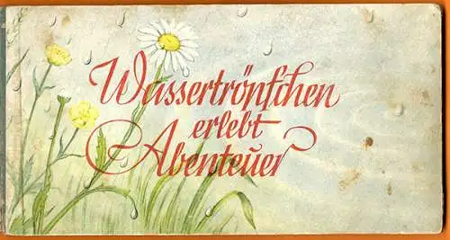 Wassertropfen erlebt Abenteuer Altes Kinder Öko Bilderbuch Bilder Ernst Fay 1948