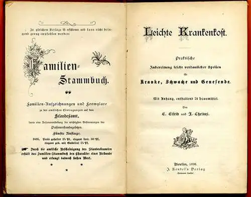 Berlin Krankenkost Hausmittel Haushalt Kochbuch Rezepte 1911