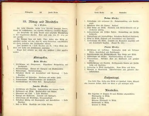 Berlin Krankenkost Hausmittel Haushalt Kochbuch Rezepte 1911