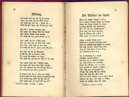 Rheinhessen Pfalz Worms Rudolf Heilgers Verse Gedichte Sprache Mundart Buch 1911