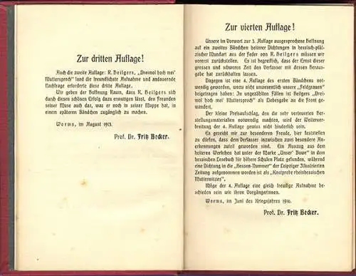 Rheinhessen Pfalz Worms Rudolf Heilgers Verse Gedichte Sprache Mundart Buch 1911