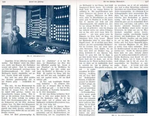 Schweiz Uhren Industrie Uhrmacher Handwerk Technik Geschichte Artikel 1906 