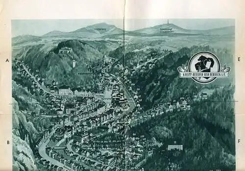 Bayern Fichtelgebirge Bad Berneck Werbeheft Panorama Wohnungsliste 1960