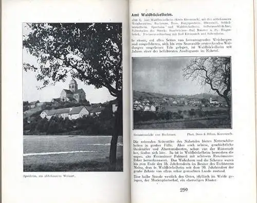 Rhein Pfalz Saar Mosel Nahe Eifel Westrich Hunsrück Reiseführer Wanderbuch 1930