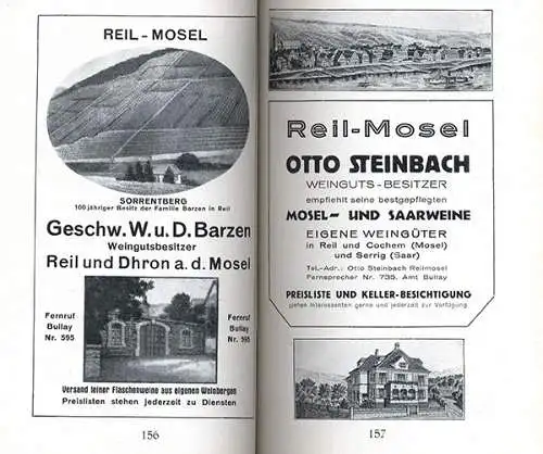 Rhein Pfalz Saar Mosel Nahe Eifel Westrich Hunsrück Reiseführer Wanderbuch 1930