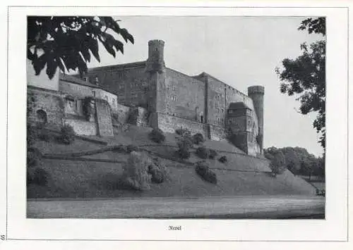Ostpreussen Baltikum Kreuzritter Deutscher Orden Burgen Foto Bildband 1940